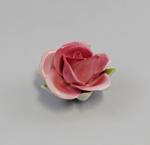Rosa Tischrose Kämmer