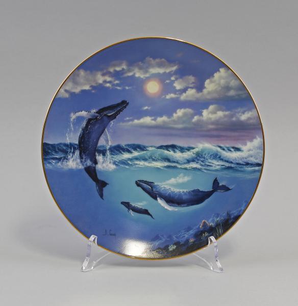 Sammelteller "Save the Whales"