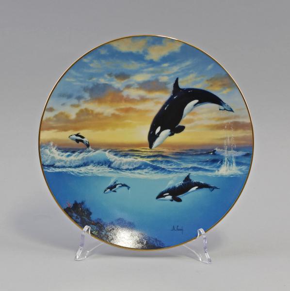 Sammelteller "Save the Whales"