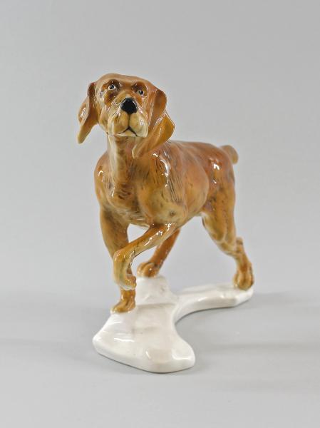 Jagdhund