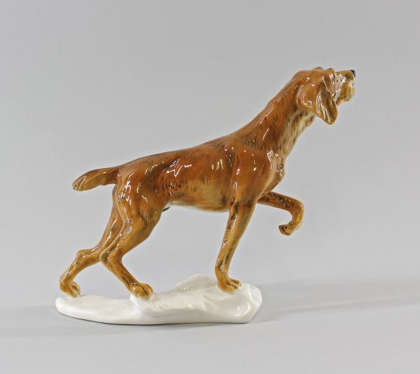 Jagdhund