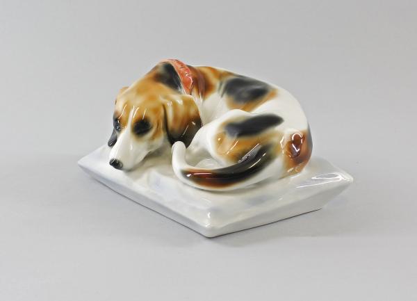 Basset / Dackel / Hund