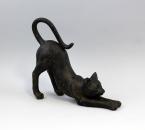 Katze sich streckend